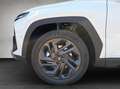 Hyundai TUCSON Tucson 1,6 T-GDI HEV 4WD 20th Anniversary Aut. Weiß - thumbnail 20