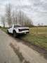 Ford F 150 Raptor Wit - thumbnail 10