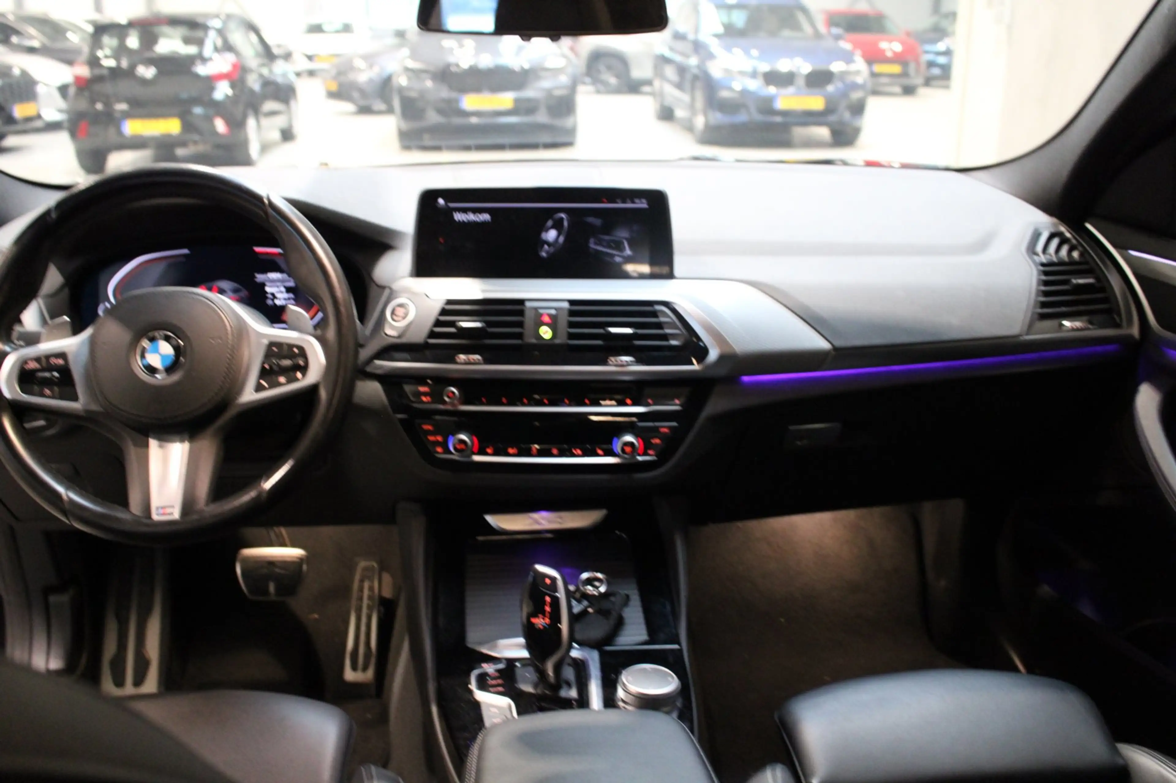 BMW X4 XDrive20i High Executive M-Pakket/Leer/360g camera — photo 8