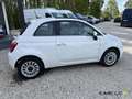 Fiat 500 1.0 Hybrid 70 Dolcevita *nieuw White - thumbnail 6