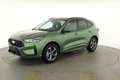 Ford Kuga ST-Line 1.5 EcoBoost ST-Line, Navi, AHK, LED, K... Grün - thumbnail 28