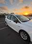 SEAT Ibiza Ibiza 1.2 Reference Tech 70 Reference Tech Blanco - thumbnail 10