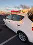 SEAT Ibiza Ibiza 1.2 Reference Tech 70 Reference Tech Blanco - thumbnail 8