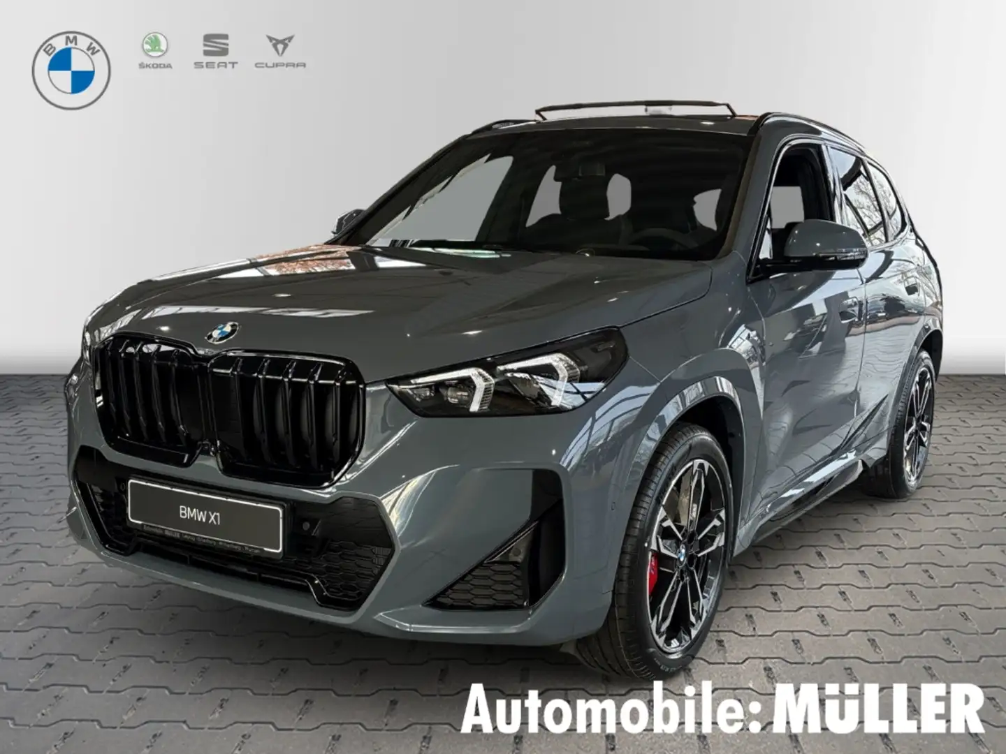 BMW X1 sDrive20i M Sport Navi Klima Pano AHK RFK HuD Mass Grau - 1
