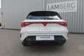 CUPRA Leon 1.5 eTSI DSG Weiß - thumbnail 4