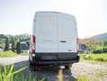 Ford Transit 2,0 EcoBlue L2H2 350 Trend Transporter / Kastenwagen Weiß - thumbnail 3