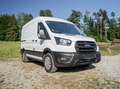 Ford Transit 2,0 EcoBlue L2H2 350 Trend Transporter / Kastenwagen Weiß - thumbnail 8
