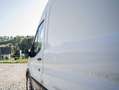 Ford Transit 2,0 EcoBlue L2H2 350 Trend Transporter / Kastenwagen Weiß - thumbnail 6