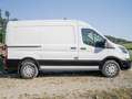 Ford Transit 2,0 EcoBlue L2H2 350 Trend Transporter / Kastenwagen Weiß - thumbnail 5