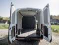Ford Transit 2,0 EcoBlue L2H2 350 Trend Transporter / Kastenwagen Weiß - thumbnail 32