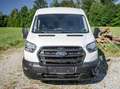 Ford Transit 2,0 EcoBlue L2H2 350 Trend Transporter / Kastenwagen Weiß - thumbnail 7
