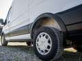 Ford Transit 2,0 EcoBlue L2H2 350 Trend Transporter / Kastenwagen Weiß - thumbnail 13