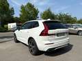 Volvo XC60 B5 AWD Micro-Hybride Diesel - 235 - BVA Geartronic  II  R-Design Blanc - thumbnail 4