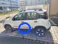 Fiat Panda 1.2 Easy Weiß - thumbnail 4