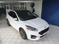 Ford Kuga ST-Line Aut/Panorama/Kamera/AHK Blanc - thumbnail 4