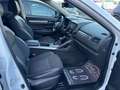Renault Koleos 2,0 dCi Life Allrad Autom. 177PS PICKERL 01/27 Weiß - thumbnail 11