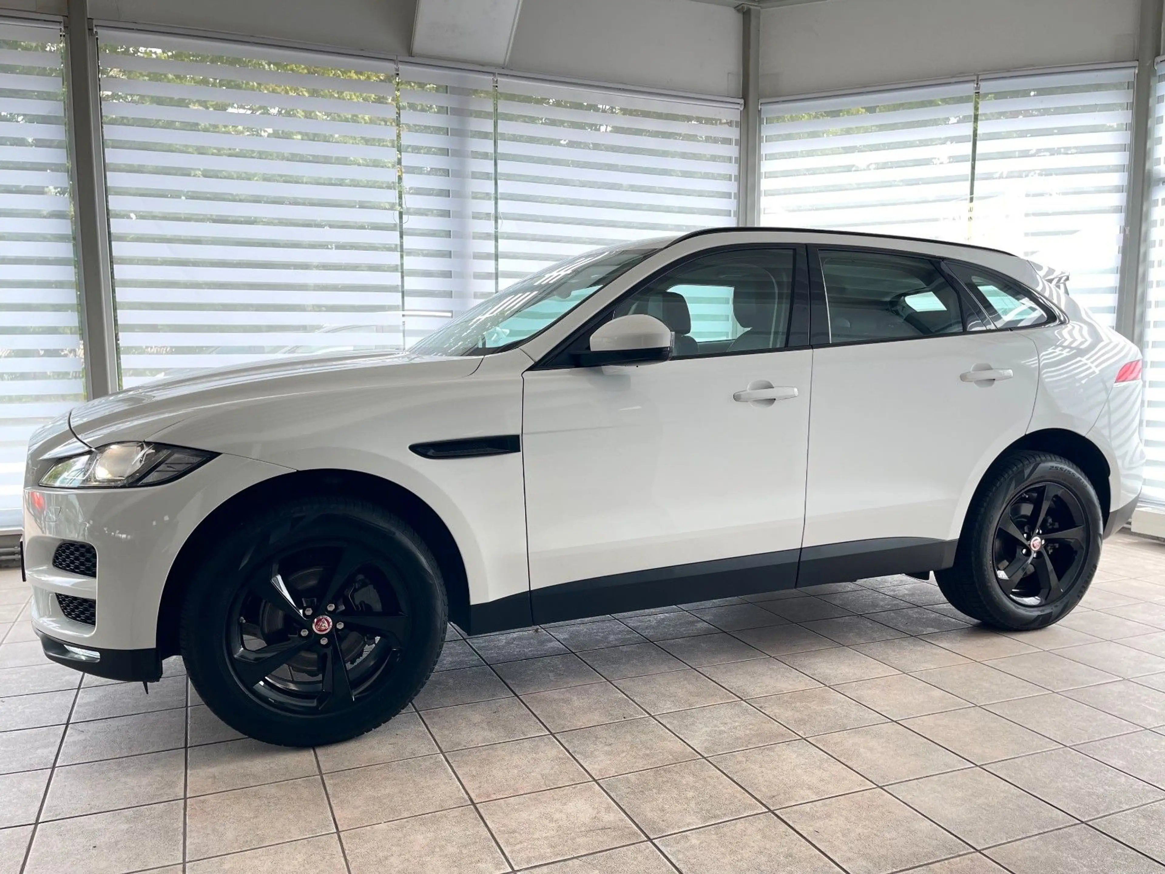 Jaguar F-Pace F-PACE Prestige AWD KAMERA LEDER DA — photo 5