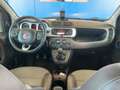 Fiat Panda 1.2  69CV City Cross S&S Gelb - thumbnail 8