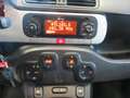 Fiat Panda 1.2  69CV City Cross S&S Amarillo - thumbnail 12