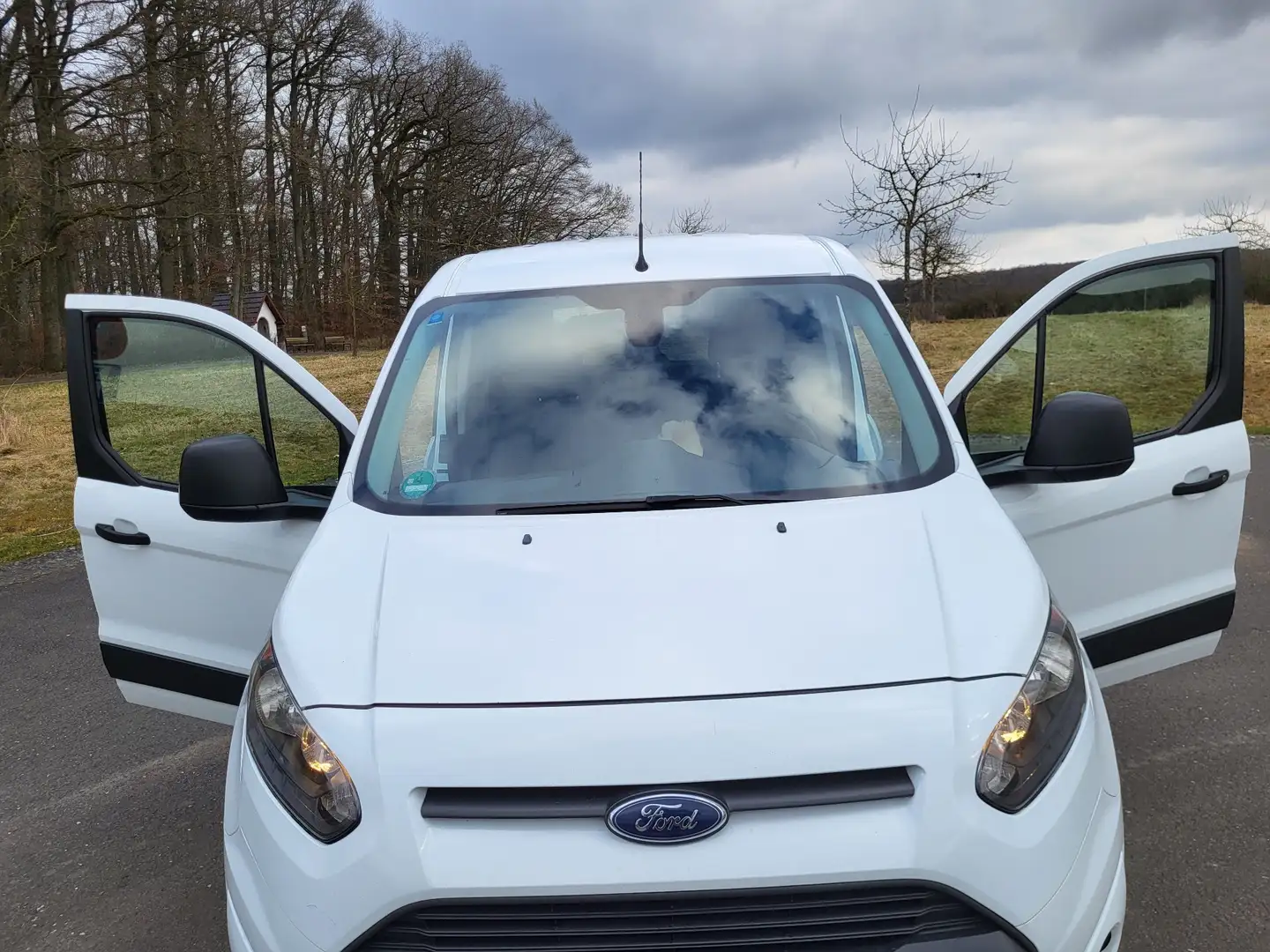 Ford Transit Connect 230 L2 LKW S&S Autm. Trend - 1