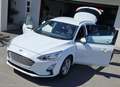 Ford Focus Traveller 1,0 EcoBoost Titanium Weiß - thumbnail 11