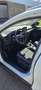 Ford Focus Traveller 1,0 EcoBoost Titanium Weiß - thumbnail 15