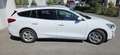 Ford Focus Traveller 1,0 EcoBoost Titanium Weiß - thumbnail 6