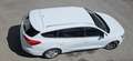 Ford Focus Traveller 1,0 EcoBoost Titanium Weiß - thumbnail 9