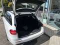 Mercedes-Benz E 350 d 4Matic Kombi Weiß - thumbnail 19