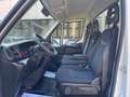 Iveco Daily 35C16 160CV *CASSONE FISSO *RUOTE GEMELLATE Wit - thumbnail 8