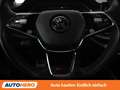 Skoda Octavia 2.0 TSI RS Grau - thumbnail 19