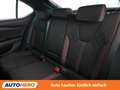 Skoda Octavia 2.0 TSI RS Grau - thumbnail 14