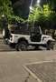 Jeep CJ-7 Blanc - thumbnail 1