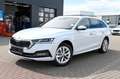 Skoda Octavia Combi 2.0 TDI DSG Selection Plus AHK*NAV Weiß - thumbnail 1