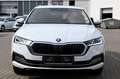 Skoda Octavia Combi 2.0 TDI DSG Selection Plus AHK*NAV Weiß - thumbnail 7
