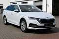 Skoda Octavia Combi 2.0 TDI DSG Selection Plus AHK*NAV Weiß - thumbnail 6