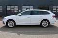 Skoda Octavia Combi 2.0 TDI DSG Selection Plus AHK*NAV Weiß - thumbnail 2