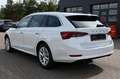 Skoda Octavia Combi 2.0 TDI DSG Selection Plus AHK*NAV Weiß - thumbnail 3