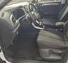 Volkswagen T-Roc 2.0 tdi Life 115cv Blanc - thumbnail 10