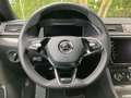 Skoda Superb Combi Sportline 2.0 TDI DSG +AHK+LED+NAV+ Grau - thumbnail 15