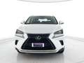 Lexus NX 300h 2.5 Business 4wd cvt SOLO 47000KM !!! Blanc - thumbnail 5