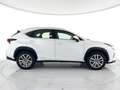 Lexus NX 300h 2.5 Business 4wd cvt SOLO 47000KM !!! Bianco - thumbnail 7