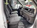 Ford Transit Pritsche Doppelkabine 350 L3 Trend Klima Blanco - thumbnail 10