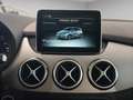 Mercedes-Benz B 200 B200d 4Matic Aut. COMAND PANO LED SHZ KAM SHZ Weiß - thumbnail 14