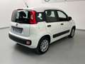 Fiat Panda Panda 0.9 TwinAir Turbo S&S Easy Bianco - thumbnail 8