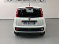 Fiat Panda Panda 0.9 TwinAir Turbo S&S Easy Bianco - thumbnail 7