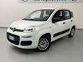 Fiat Panda Panda 0.9 TwinAir Turbo S&S Easy Bianco - thumbnail 2