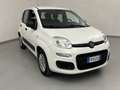 Fiat Panda Panda 0.9 TwinAir Turbo S&S Easy Bianco - thumbnail 5