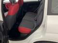 Fiat Panda Panda 0.9 TwinAir Turbo S&S Easy Bianco - thumbnail 12