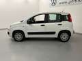 Fiat Panda Panda 0.9 TwinAir Turbo S&S Easy Bianco - thumbnail 3
